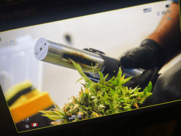 Collaboration with EZ Trim Harvesting in Advancing Cannabis Manufacturing